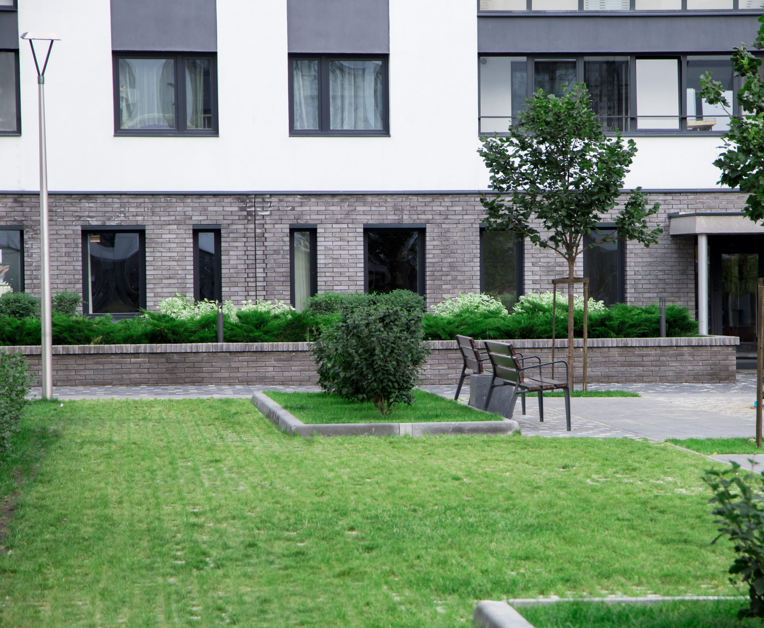 BRF grönyta